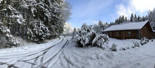 panorama-du-lynx-sous-la-neige